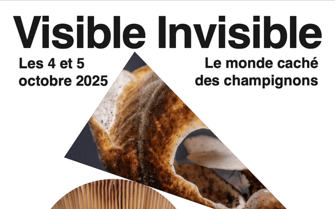 Visible Invisible